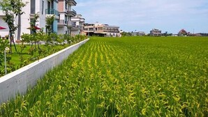 A modern building with a flat roof and a large green field in the foreground. - Tsaiyu B&B (Zhuangwei)