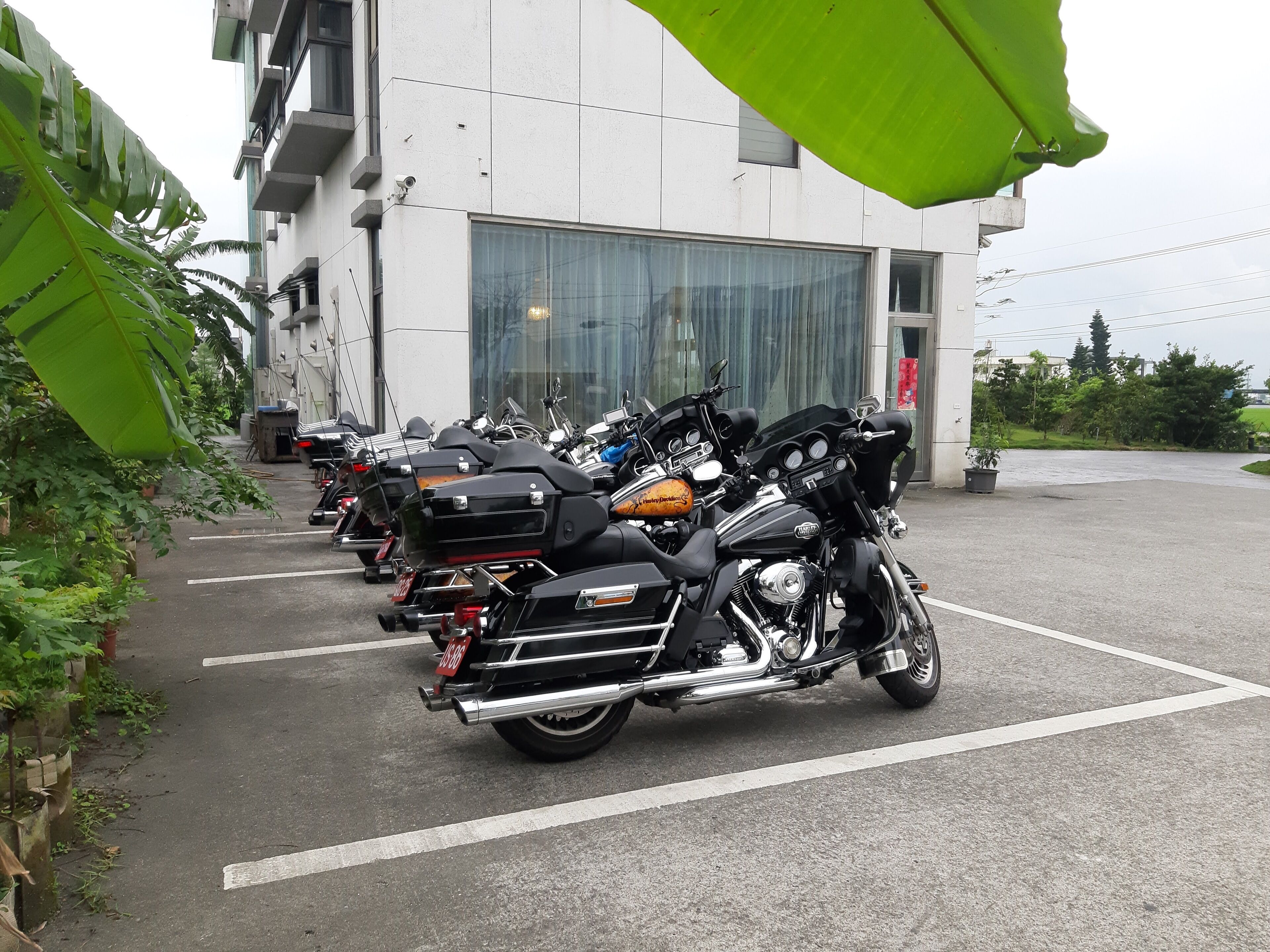 Varias motocicletas estacionadas en un área designada, con un edificio al fondo.