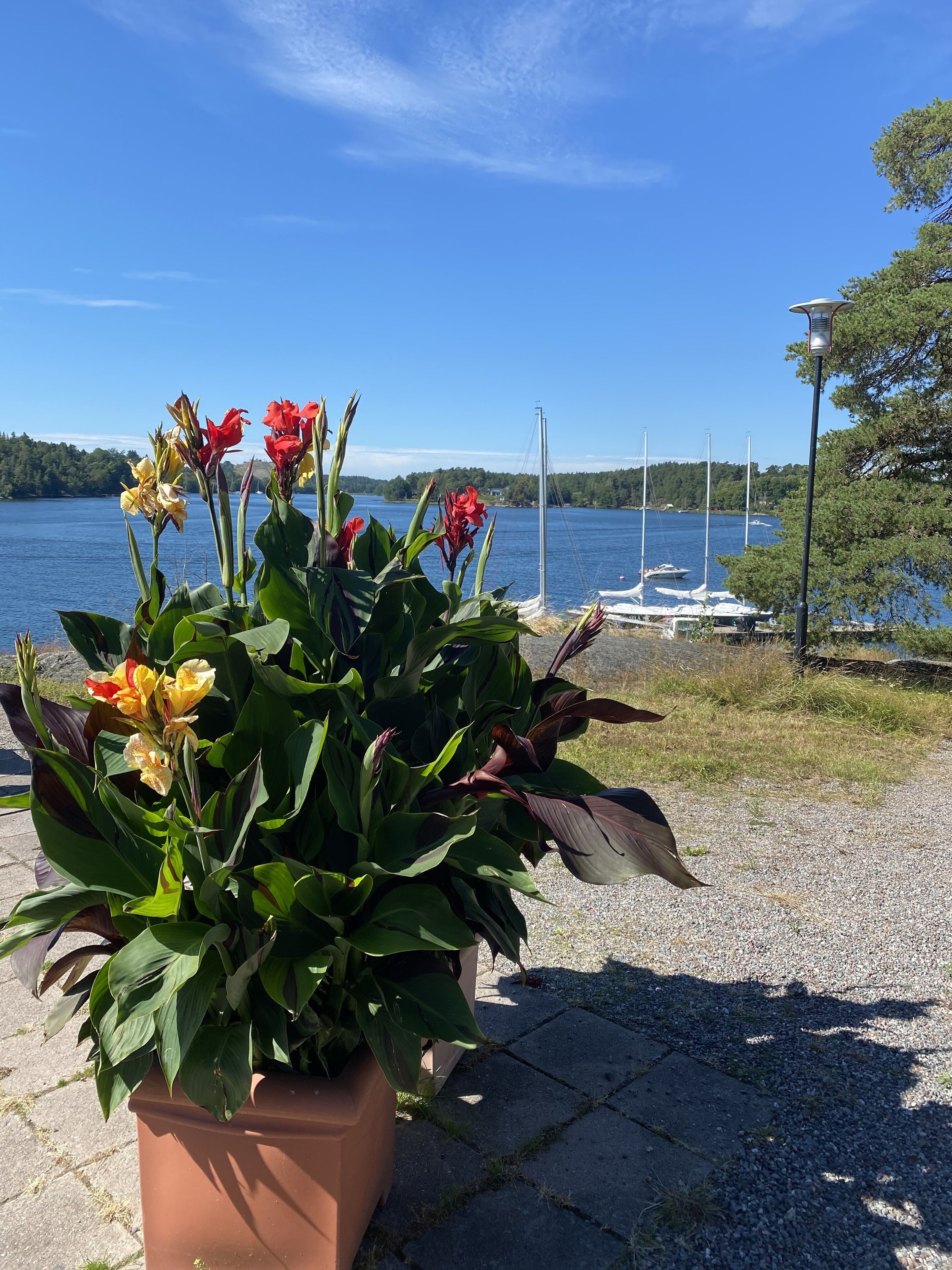 children’s play area – outdoor