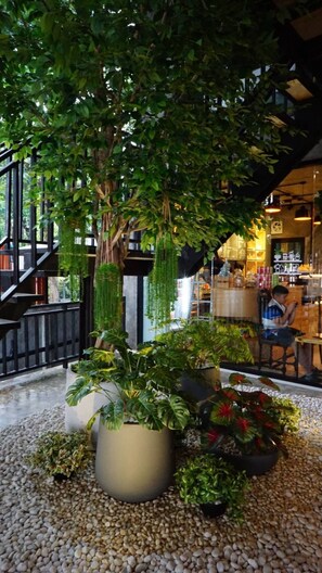 Café