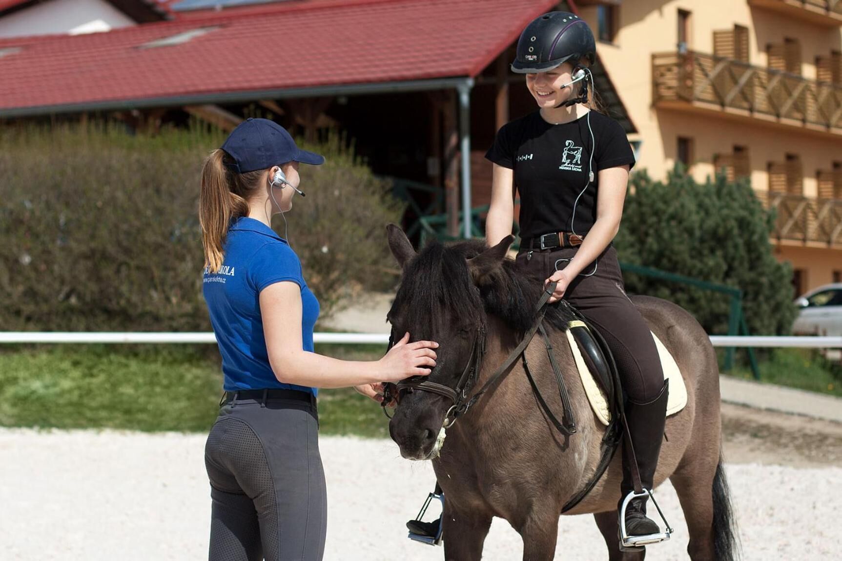 Una persona con camisa azul y pantalones negros interactuando con un caballo.