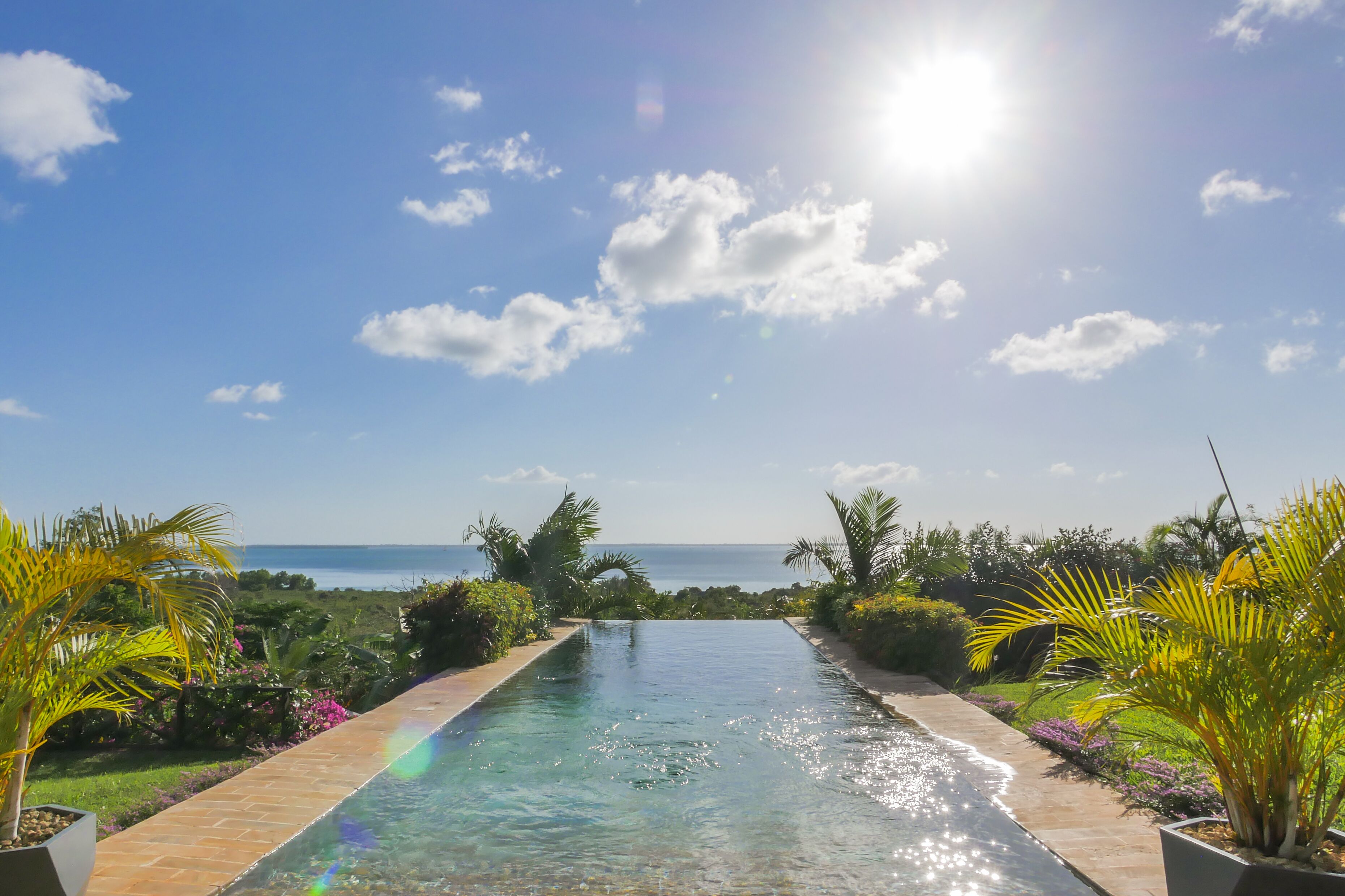 A clear view of a swimming pool with a paved edge, surrounded by lush greenery and palm trees, leading to a scenic ocean view.