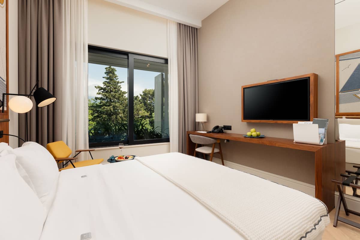 A hotel room with a large bed, a desk with a computer, a TV, and a window with a view of trees.