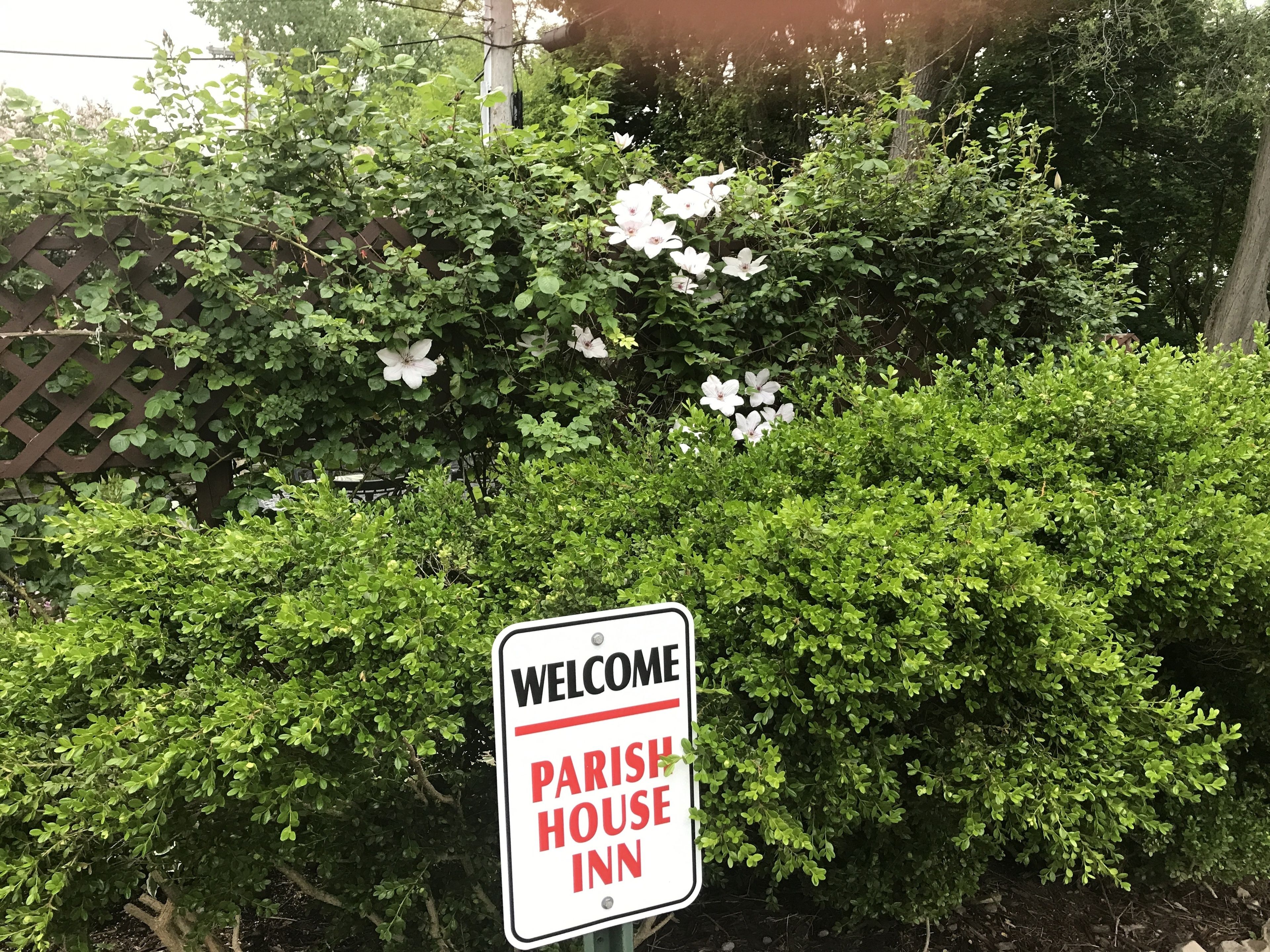 Quang cảnh nhìn từ nơi lưu trú