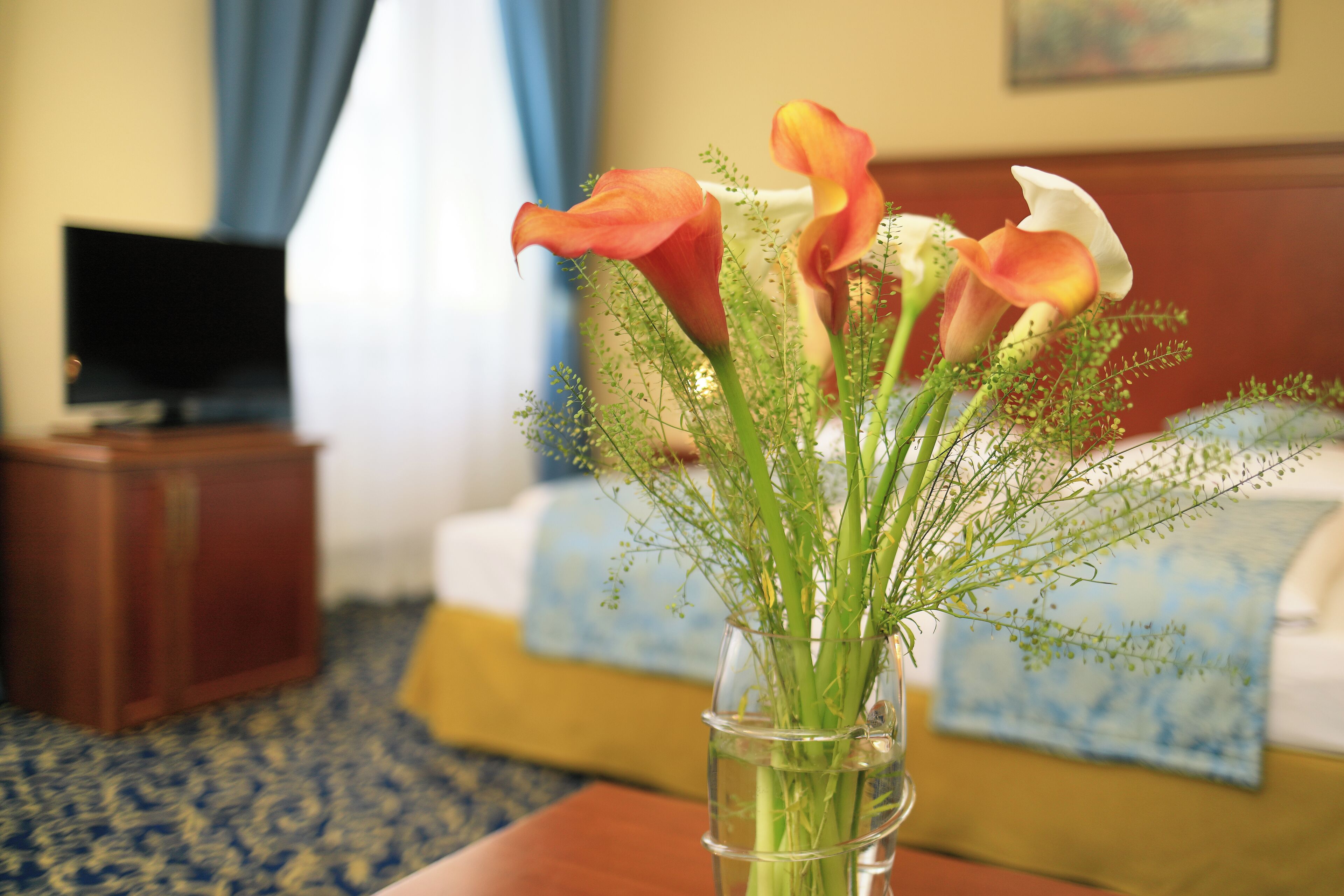 Foto - Hotel Bellevue Wien