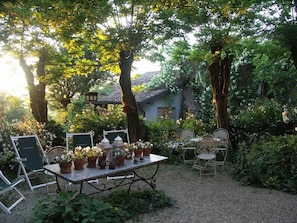 A garden with a table set for an event, surrounded by potted plants and chairs.