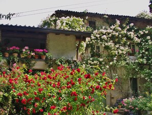 A rustic building with a balcony covered in flowering plants, surrounded by lush greenery.