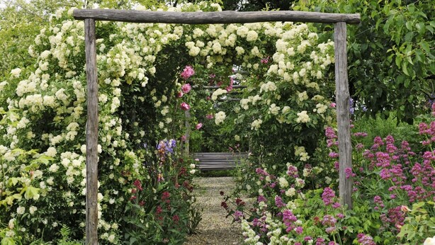 Un arco de madera cubierto de flores blancas y rosas, que conduce a un banco.
