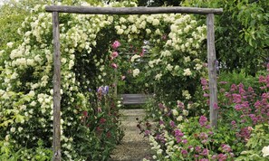 A wooden arbor covered with white and pink flowers, leading to a bench. - La Traversina - Agriturismo di Charme (Stazzano)