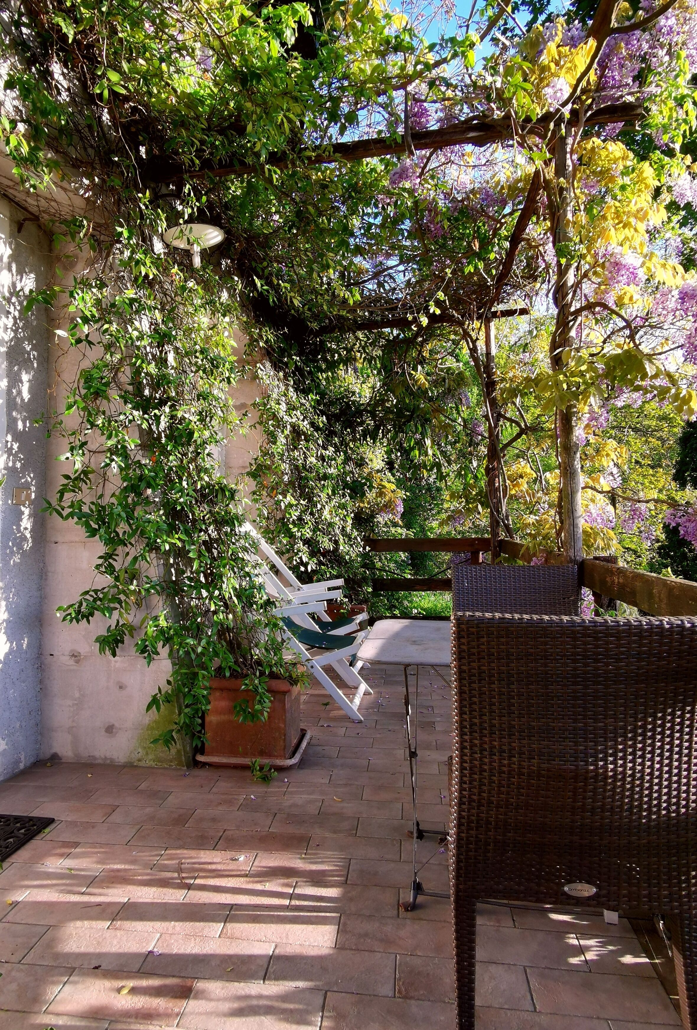 Terrass/Patio