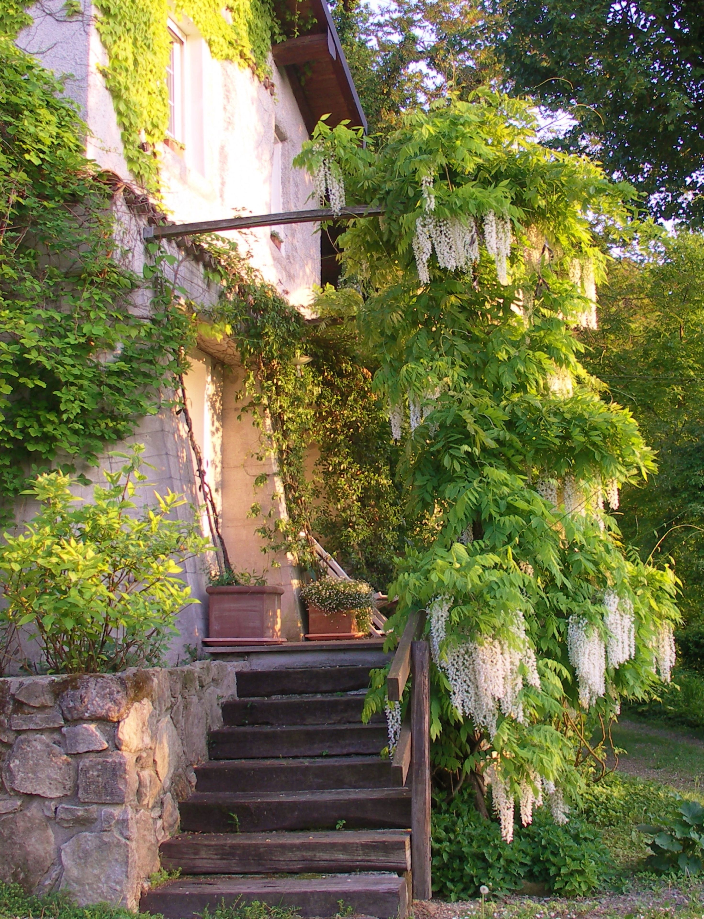 Studio (Casetta del Vecchio Pero) | Eingangsbereich