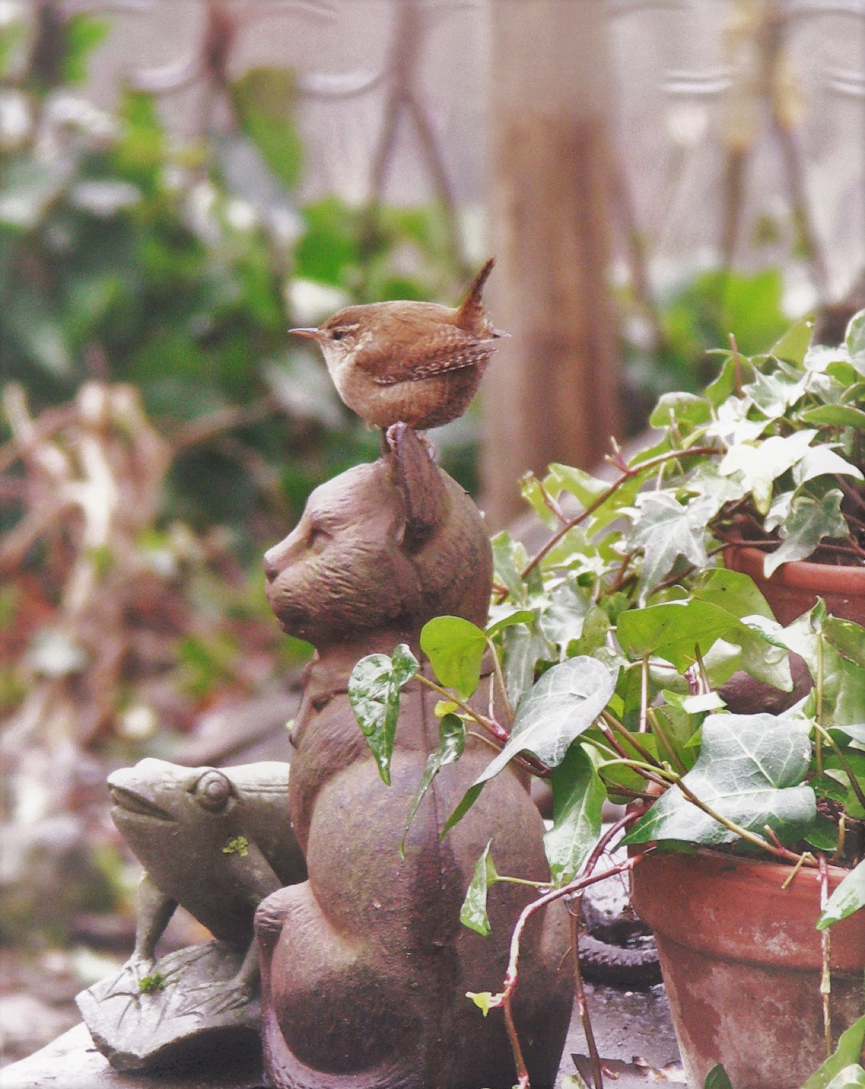 Un jardin agrémenté d’une sculpture d’oiseau et de plantes en pot.