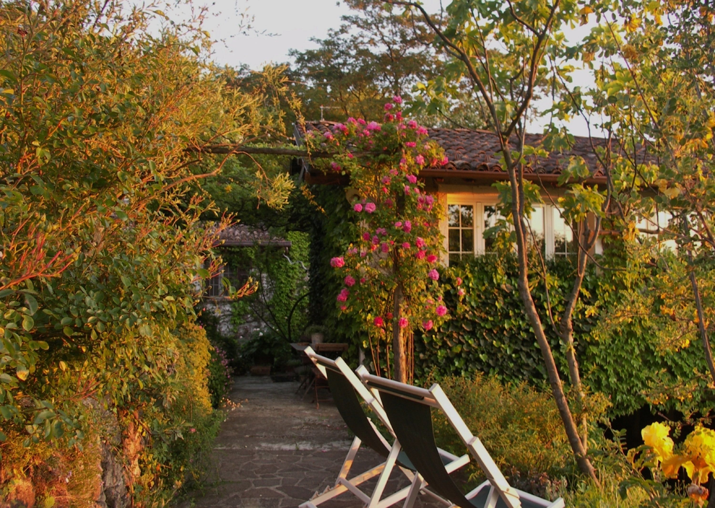 Studio (Casetta delle Rose) | Terrasse/Patio
