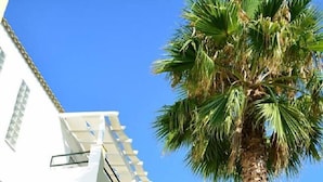 A multi-story building with balconies, a palm tree in front, and a clear blue sky. - Cavos Beach House (Corfu)