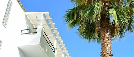 Ein mehrstöckiges Gebäude mit Balkonen, eine Palme davor und ein klarer, blauer Himmel.