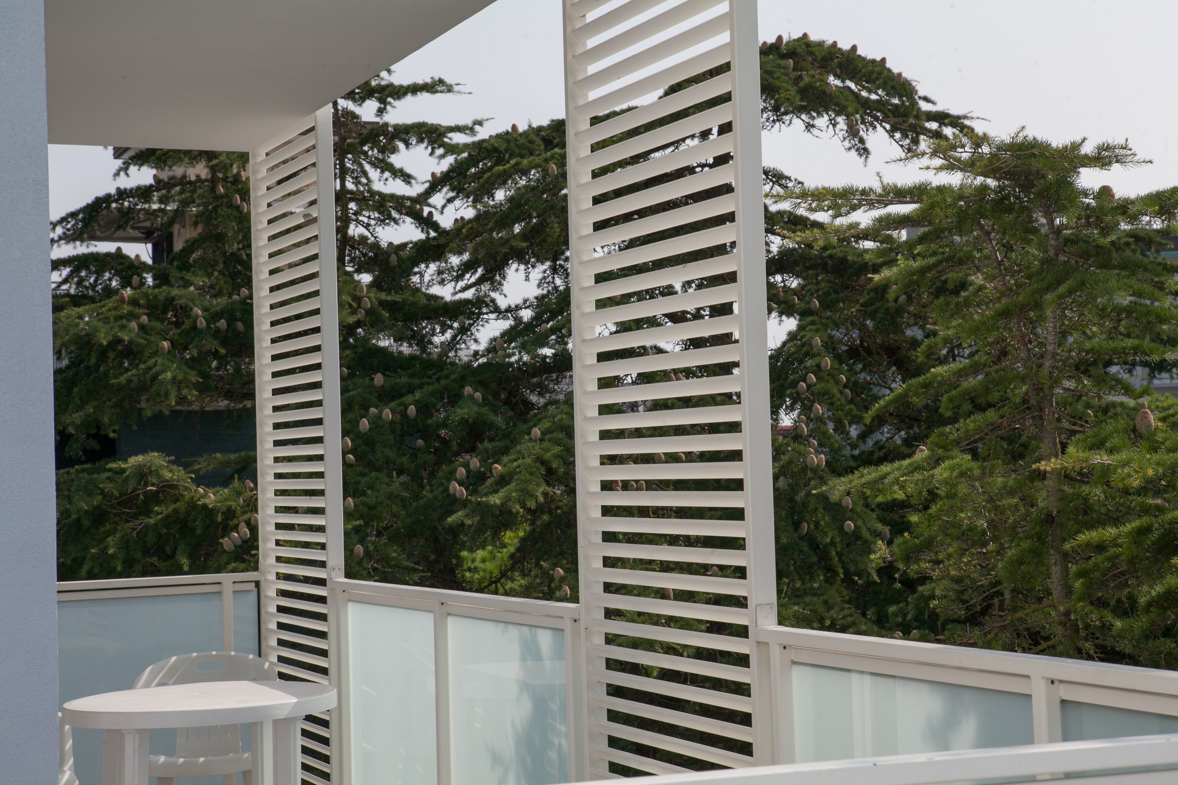 Foto - Hotel Albatros 3 Stelle Superior