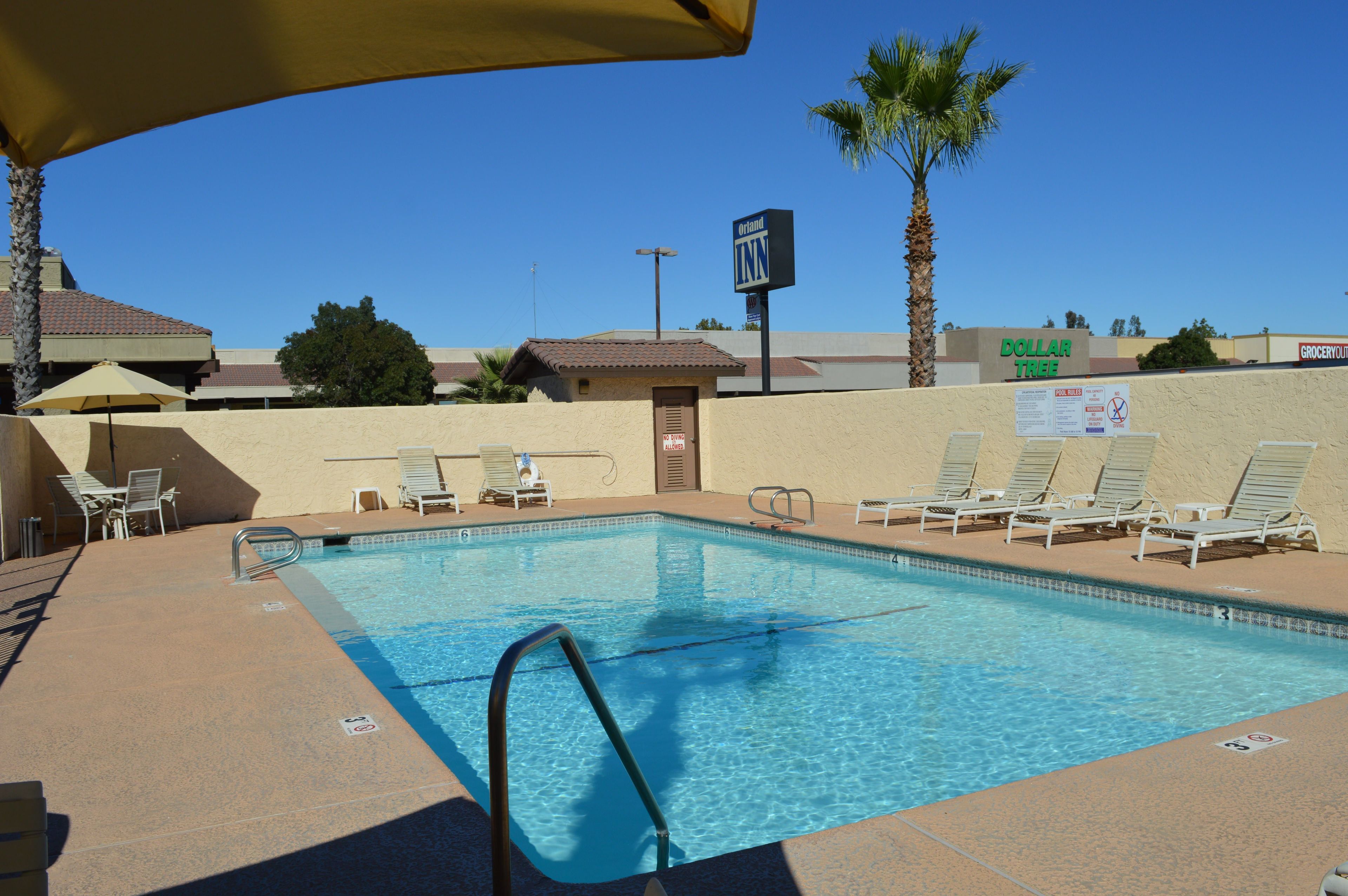 Piscine extérieure, chaises longues