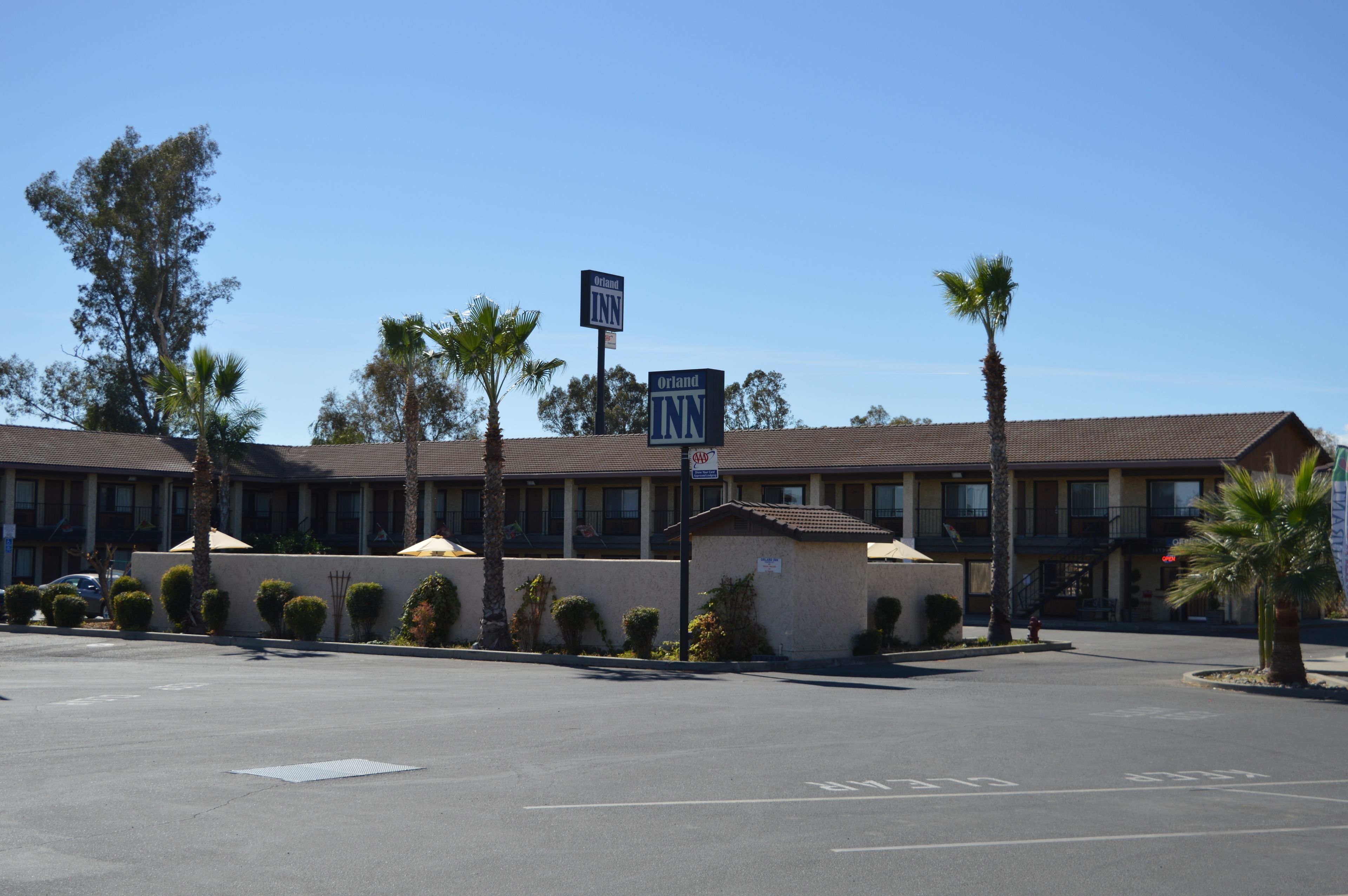 A motel with a parking lot, palm trees, and a clear blue sky.