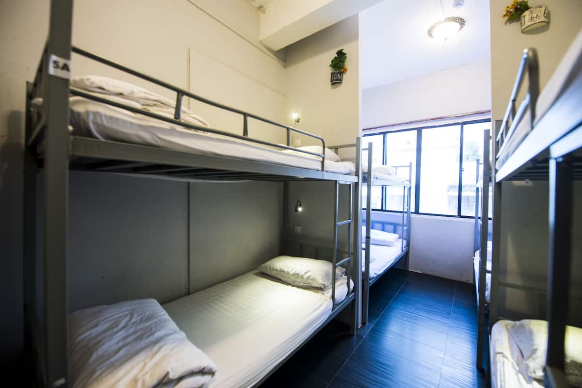Une chambre de dortoir avec des lits superposés, une petite fenêtre et une plante accrochée au mur.