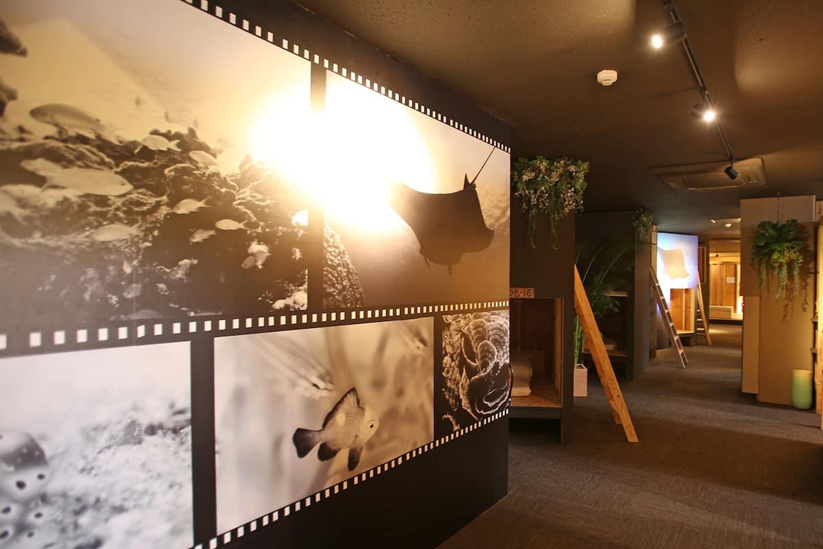Un couloir orné d’une décoration murale représentant une bande de film, avec des lambris en bois et un escalier menant à une autre pièce.