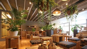 A cozy, well-lit room with wooden furniture, hanging plants, and a large window providing natural light. - Guesthouse Chura Cucule Ishigakijima – Hostel (Ishigaki)