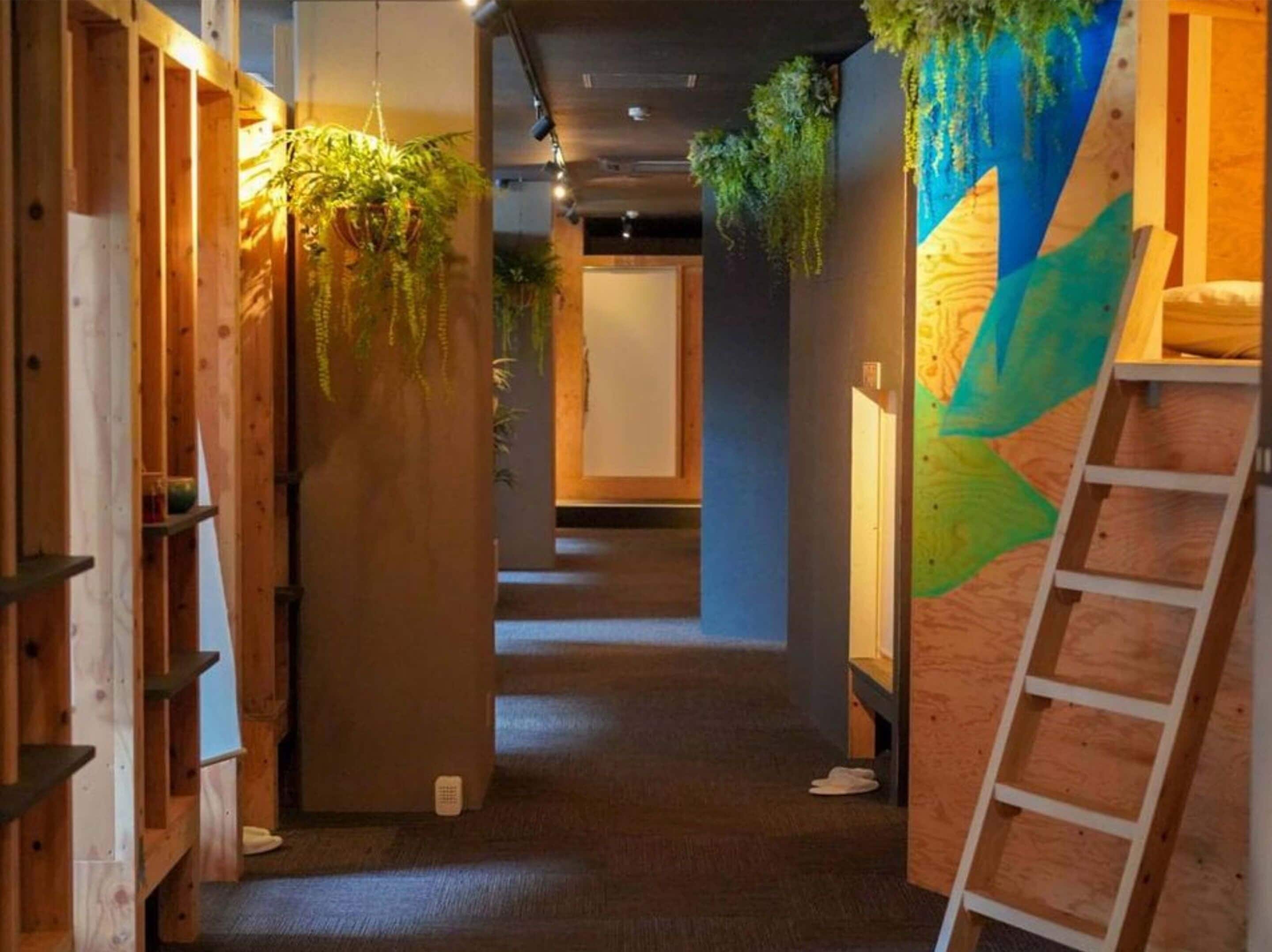 A hallway with wooden walls, a carpeted floor, and a ladder on the right.