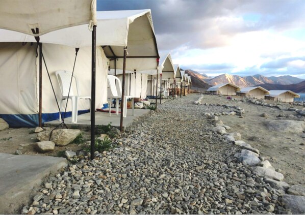 Lake view - Royal Camp - Pangong (Leh)