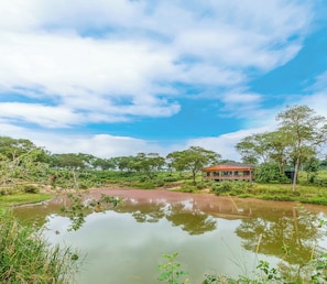 Vista al agua