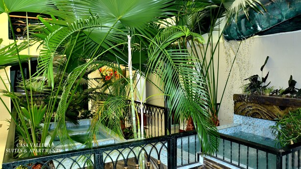Un exuberante jardín interior con diversas plantas tropicales y una fuente decorativa.