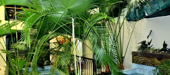 レイク47スイーツ