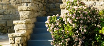 卡洛靈魂 - 青年旅舍