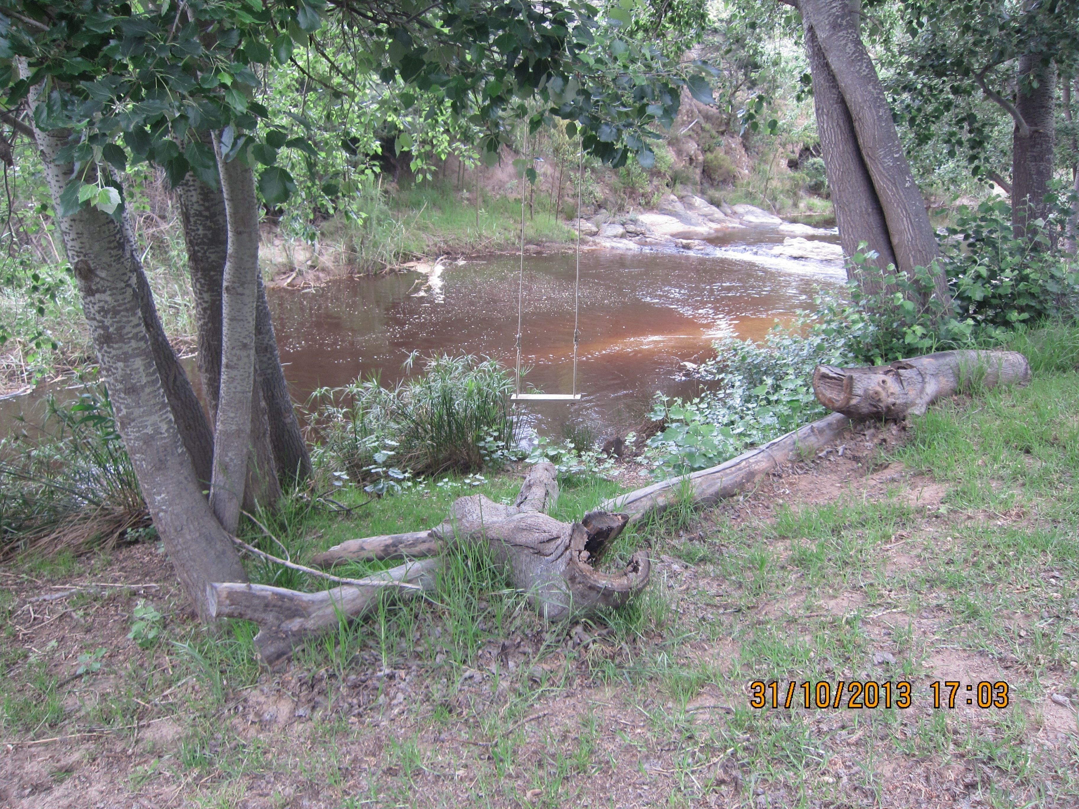 A natural outdoor setting with a stream, trees, and a fallen log.