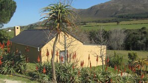 A yellow building with a black roof, surrounded by red flowering plants and a mountainous landscape in the background. - Swaynekloof Farm (Bot River)