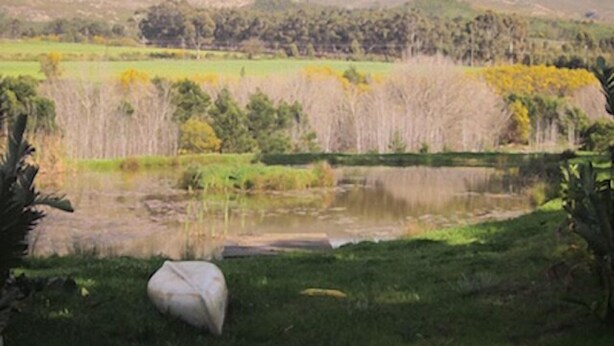 A natural landscape with a pond, grassy areas, and trees. - Swaynekloof Farm (Bot River)