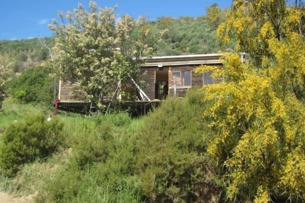 A rustic cabin with a wooden exterior, surrounded by dense greenery and a hill in the background.