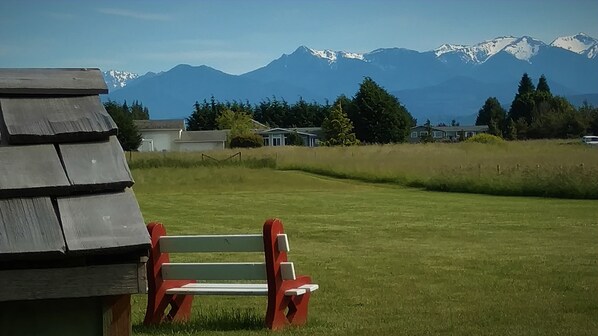 A bench in a grassy field with a mountain range in the background. - GreenHouse Inn by the Bay (Sequim)