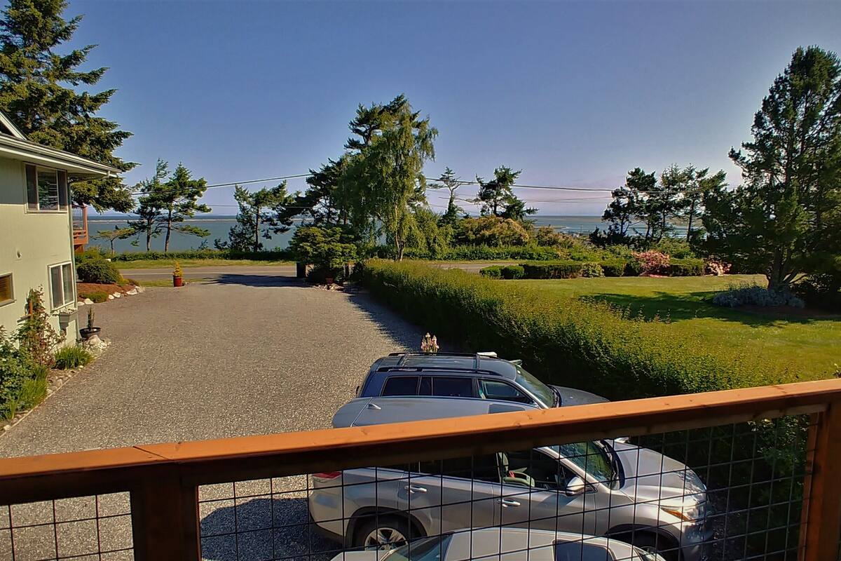 A residential area with a paved driveway, parked cars, and a view of a body of water.