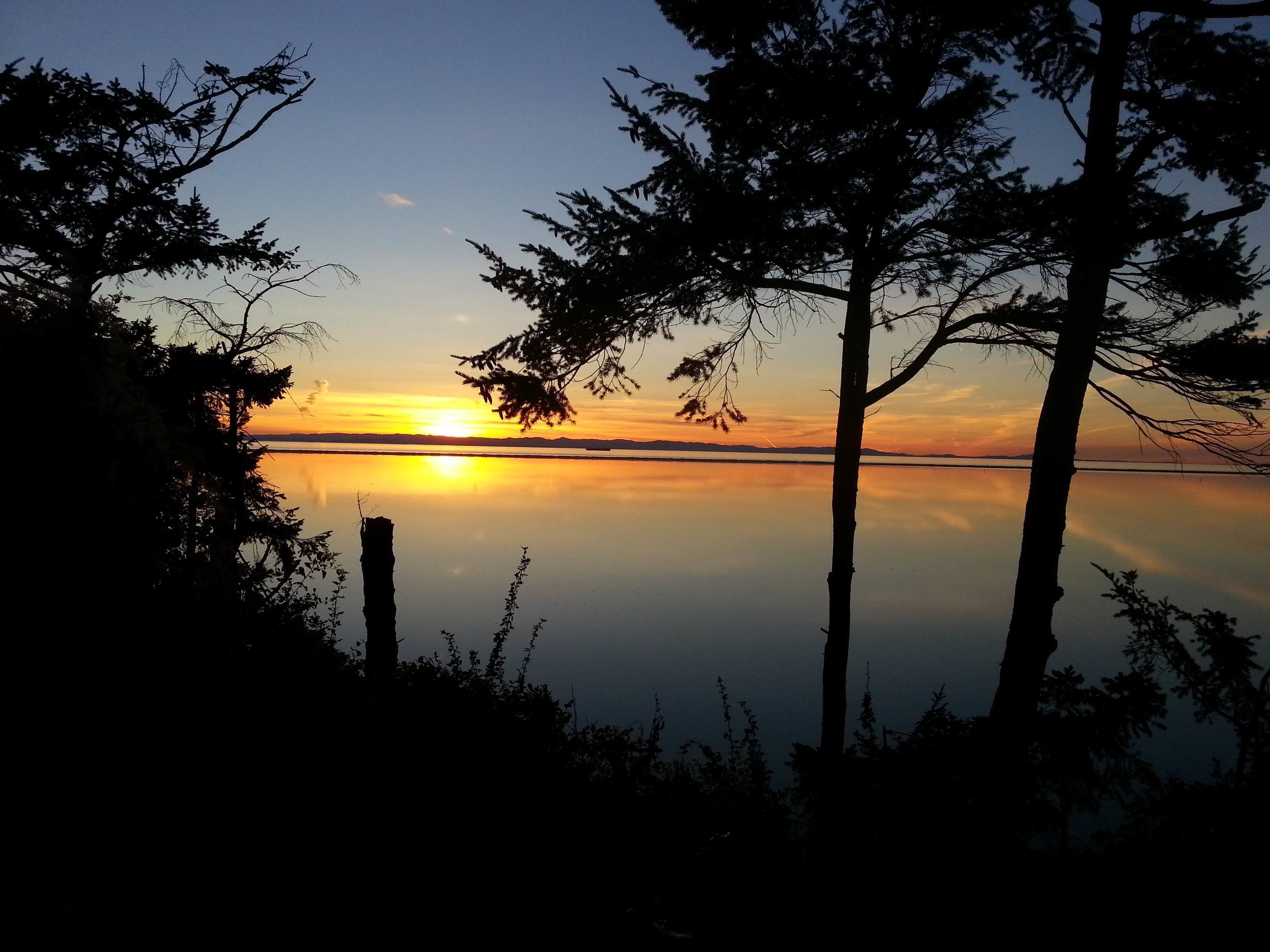 Foto - Greenhouse Inn by the Bay