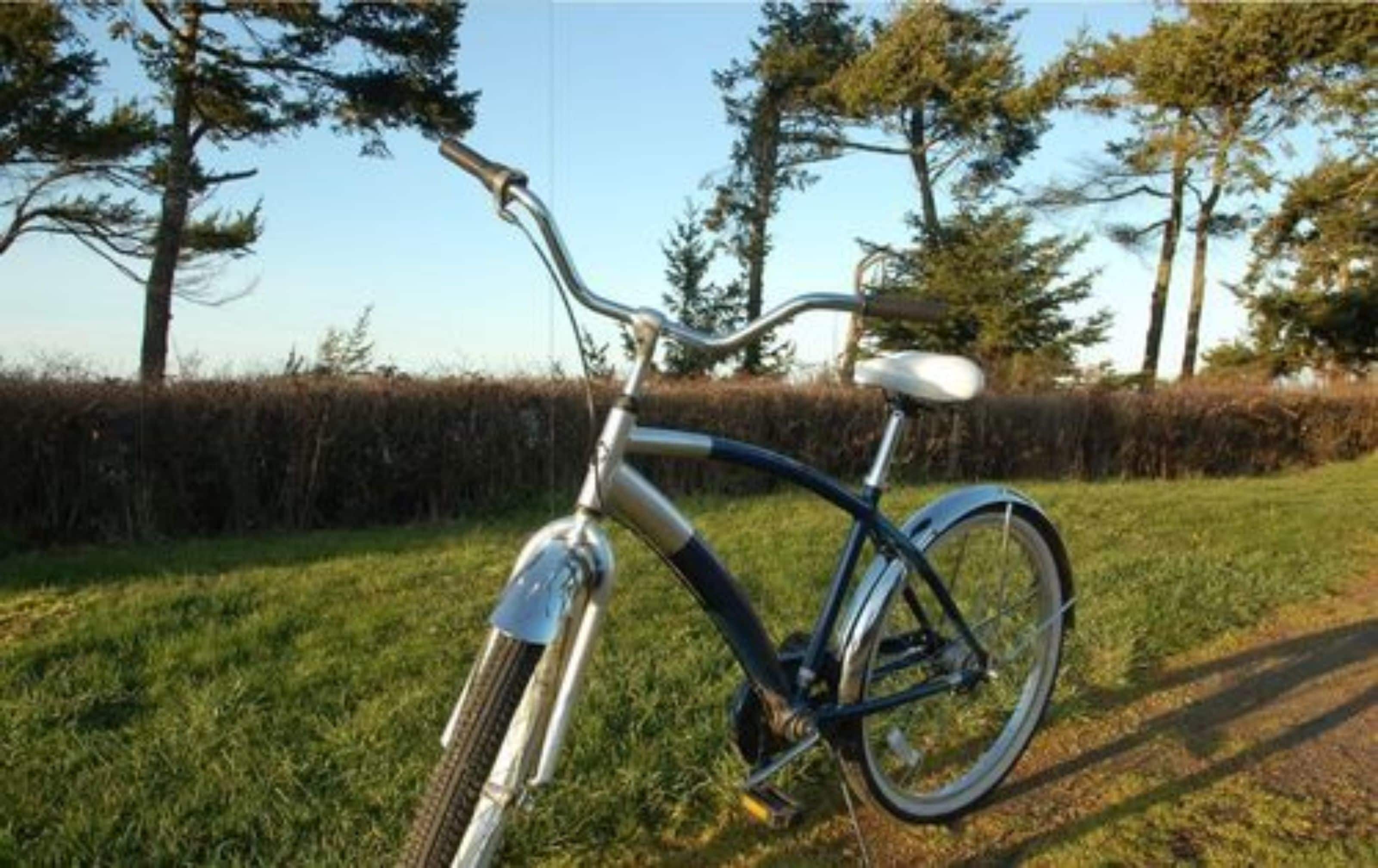 Foto - Greenhouse Inn by the Bay