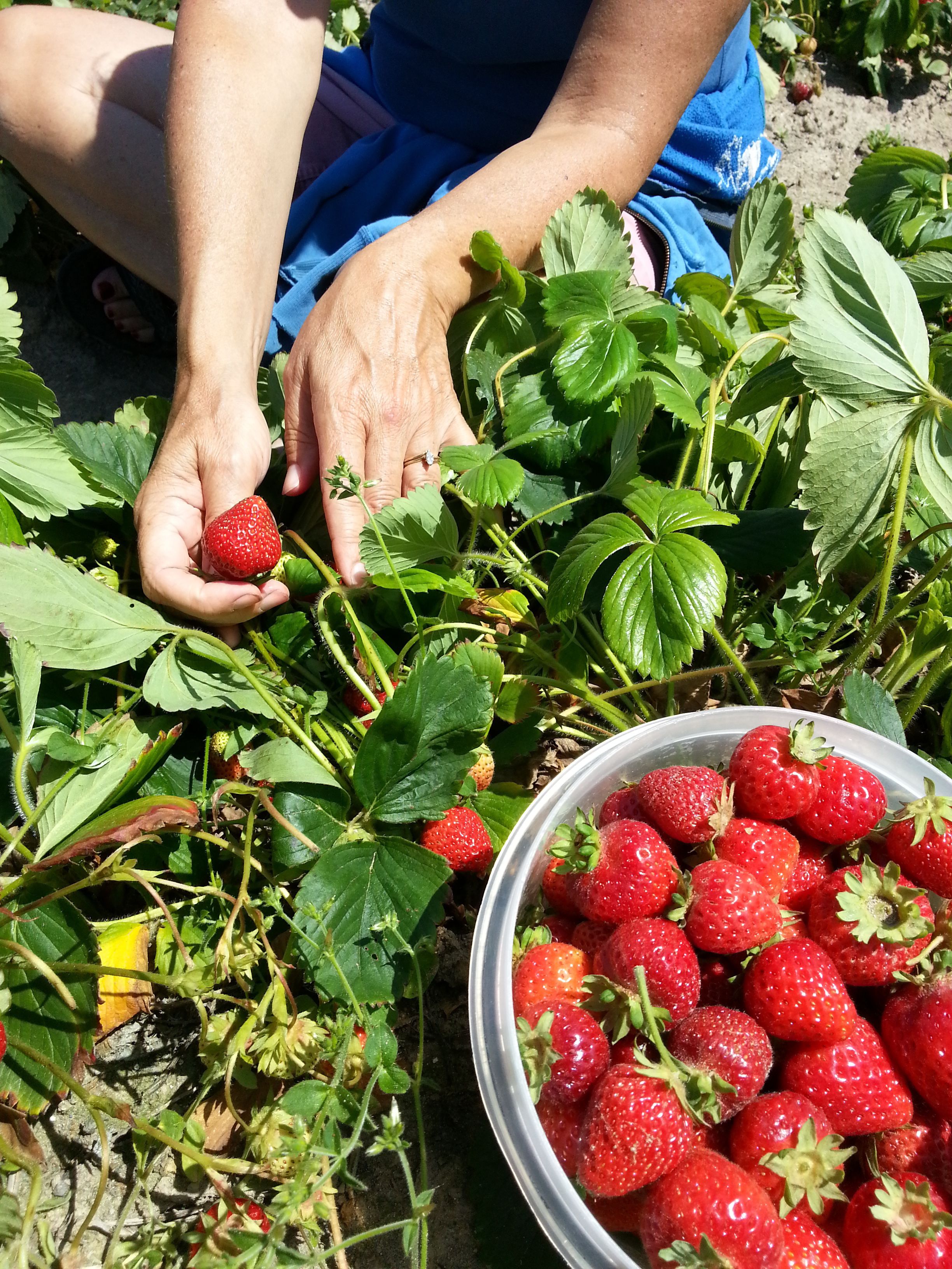 Foto - Greenhouse Inn by the Bay
