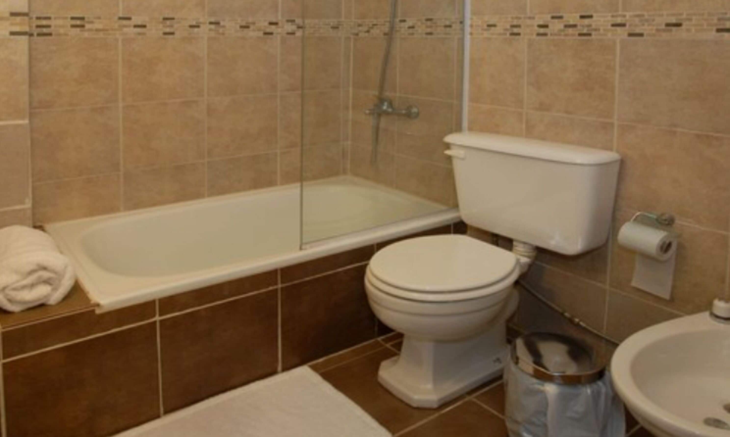combined shower/bathtub, free toiletries, hair dryer, towels
