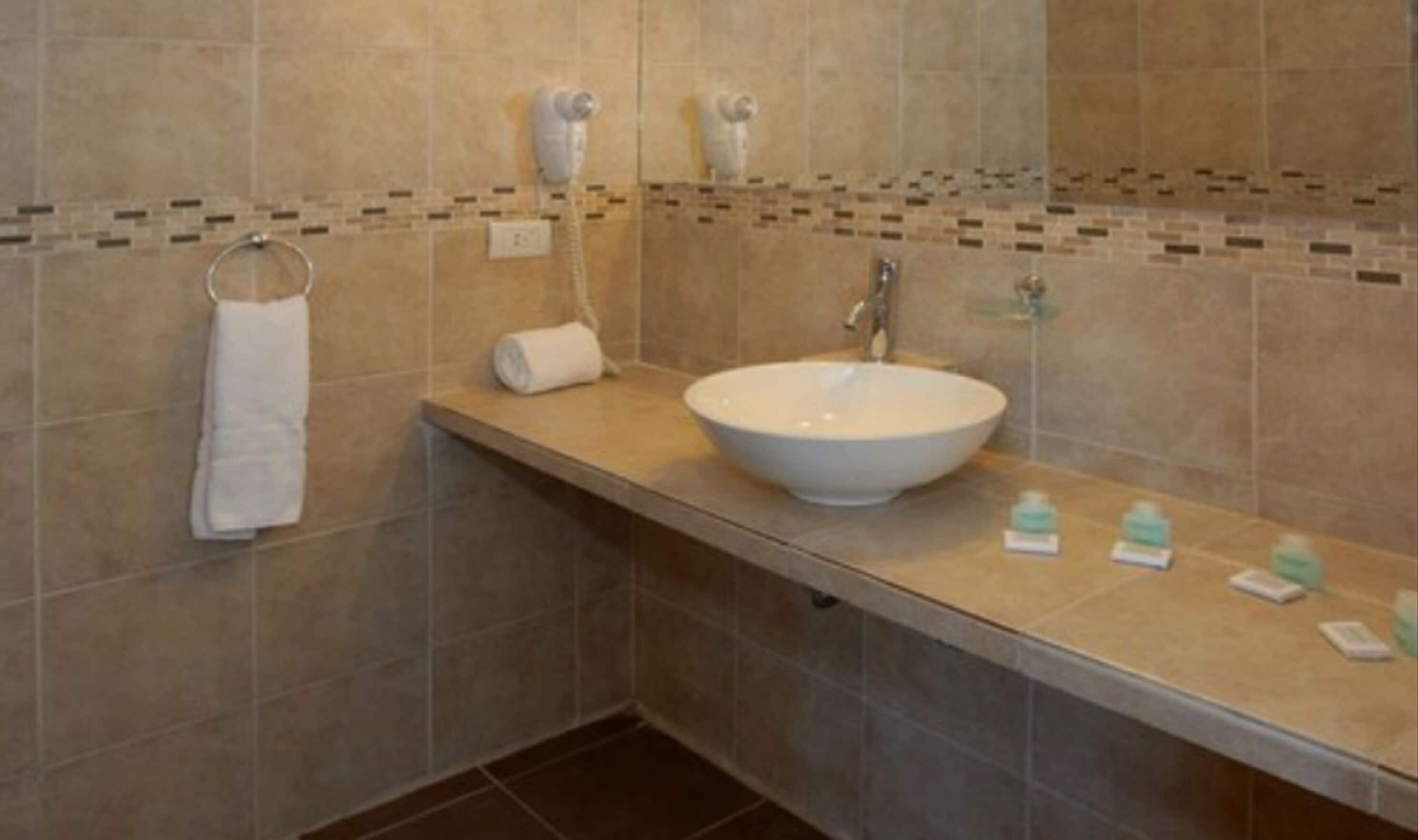 combined shower/bathtub, free toiletries, hair dryer, towels