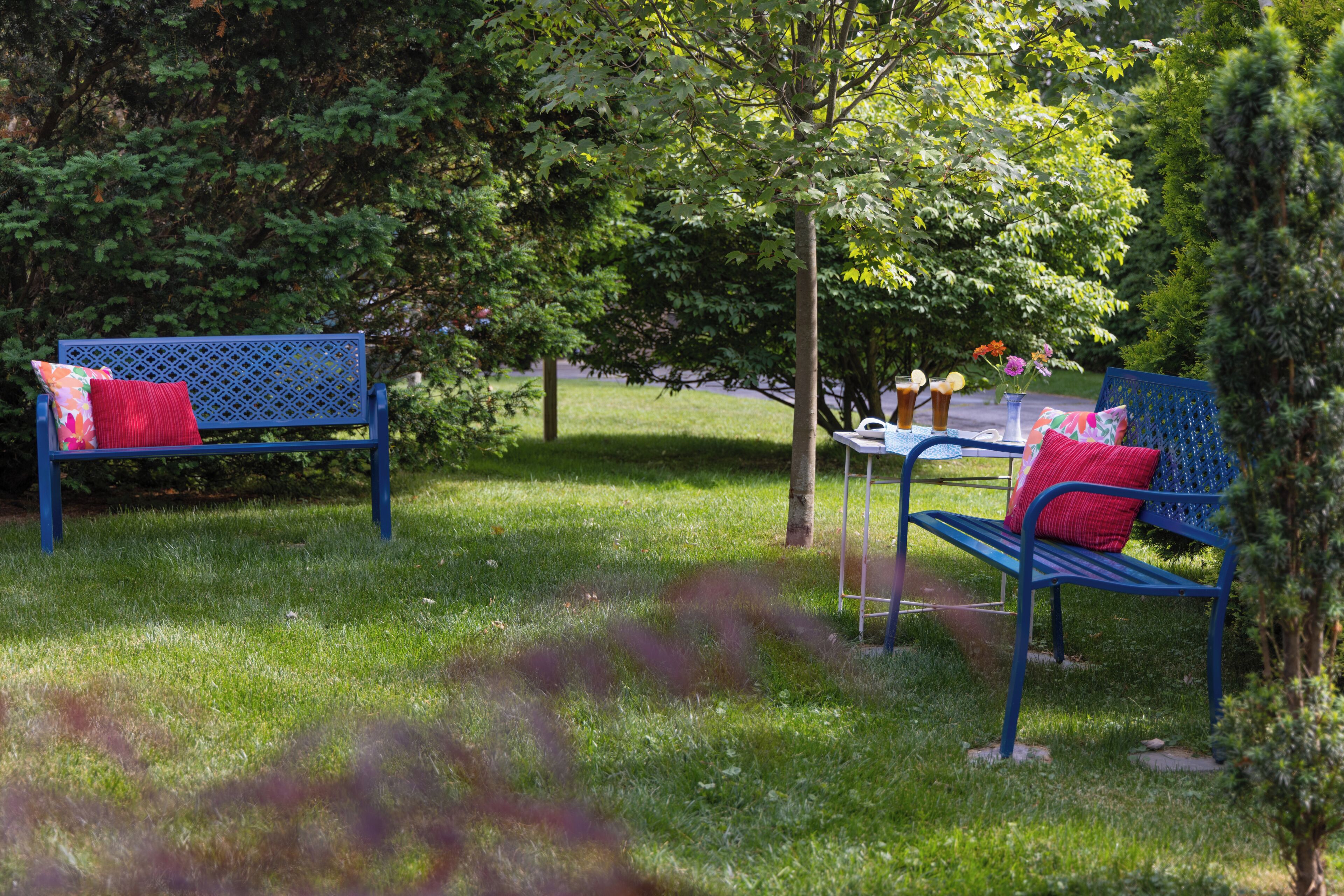Two blue metal benches with red cushions in a grassy park area with trees in the background.