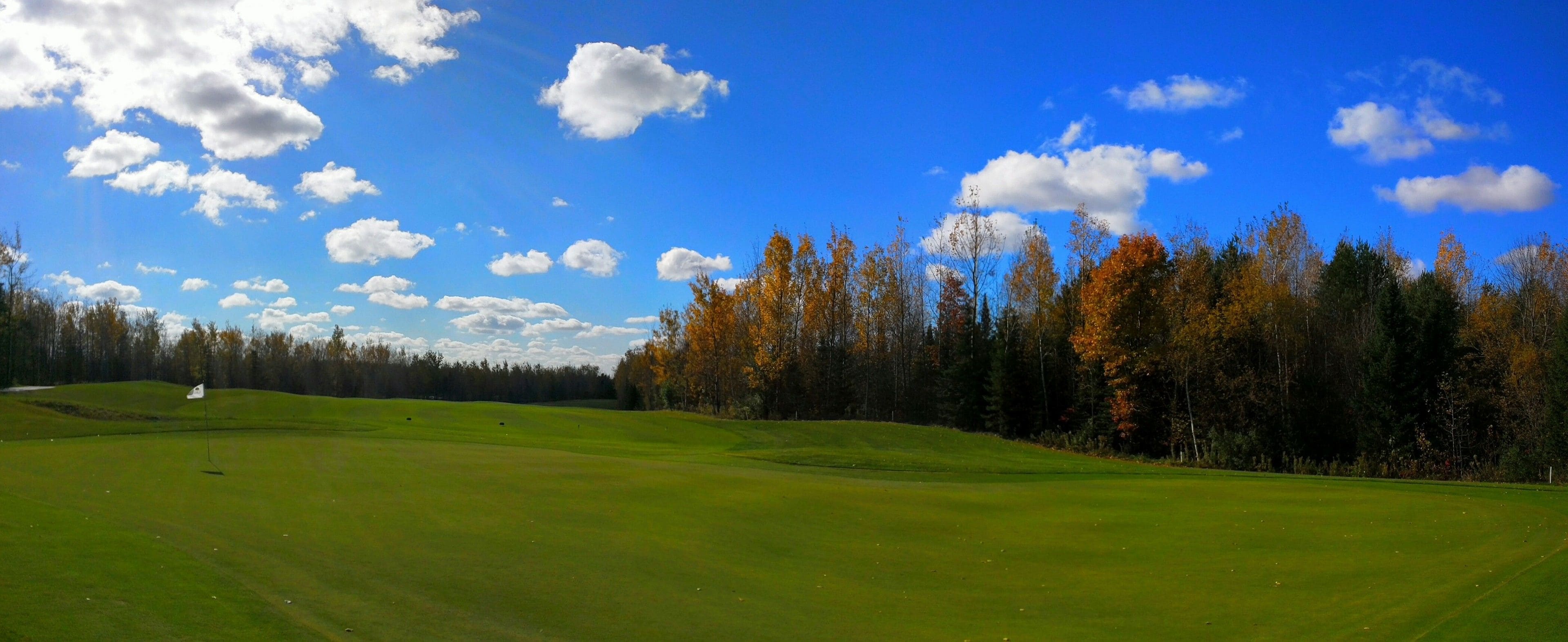 Un campo de golf con una bandera, árboles y cielo despejado.