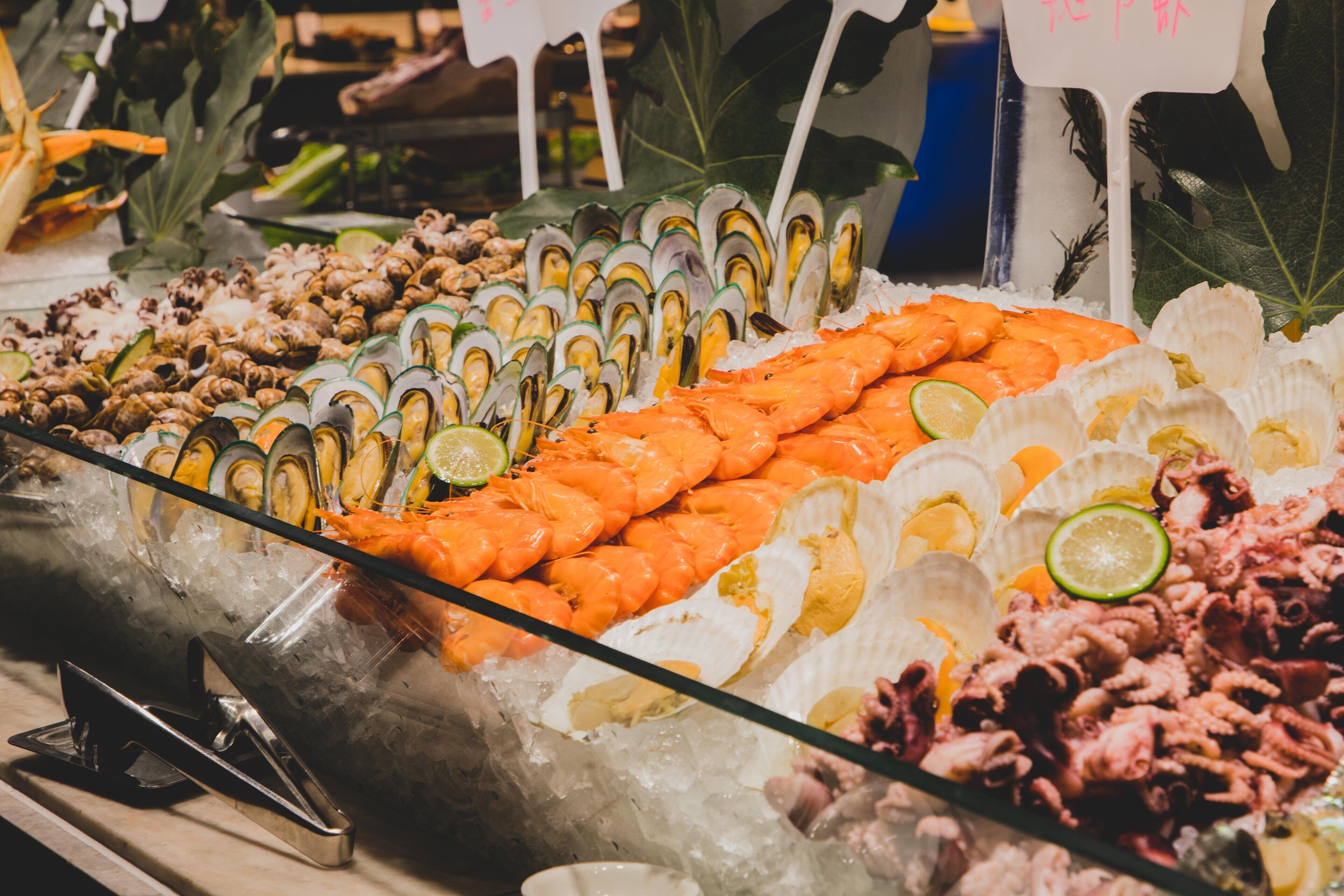 A seafood display with various types of shellfish and seafood, including shrimp, oysters, and squid, arranged on ice.