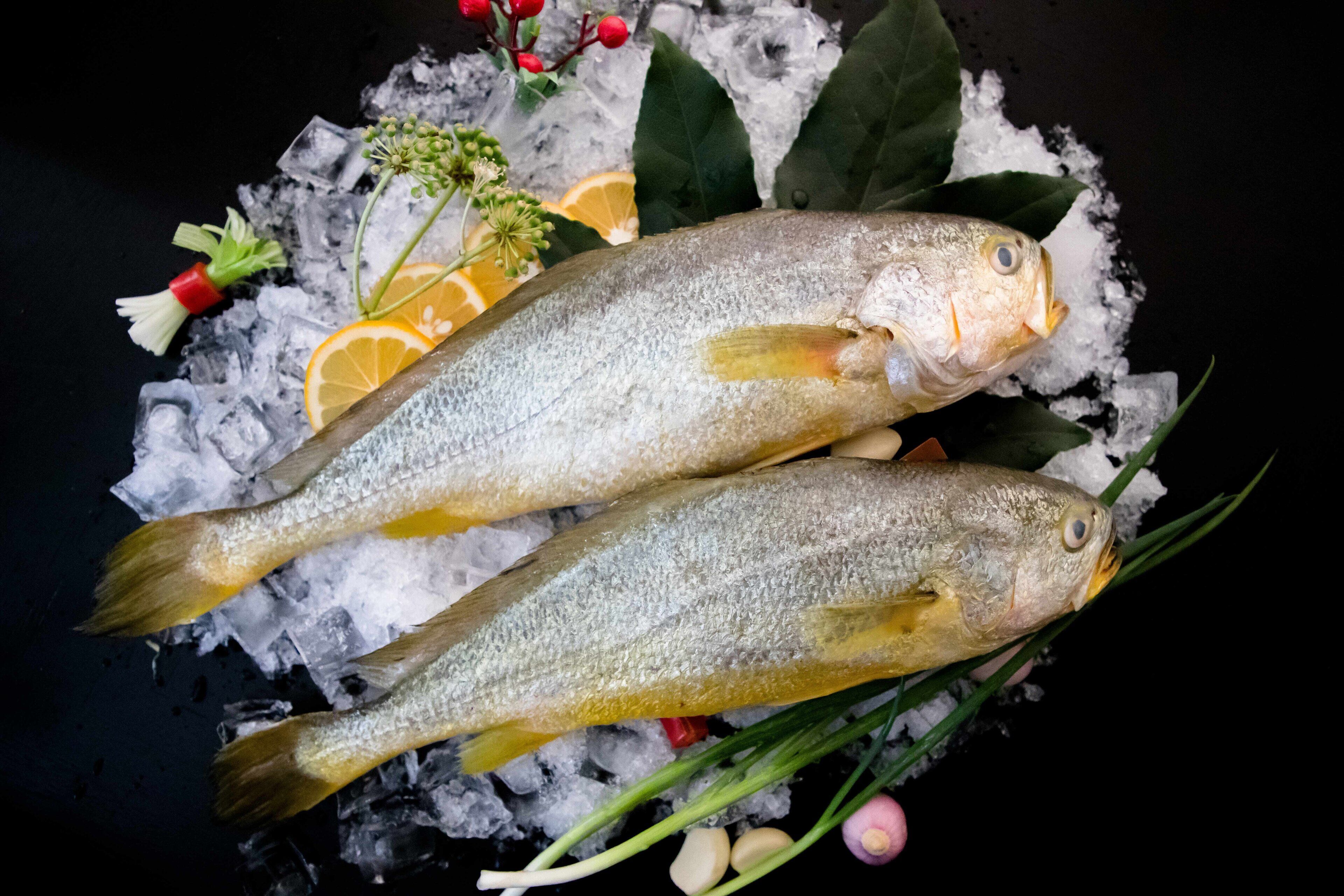 Two fish on ice with lemon slices, herbs, and garlic cloves.