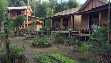Vườn