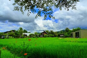 Exterior - Love Pai Home (Pai)