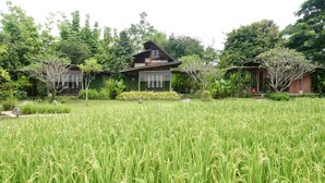 Garden - Love Pai Home (Pai)