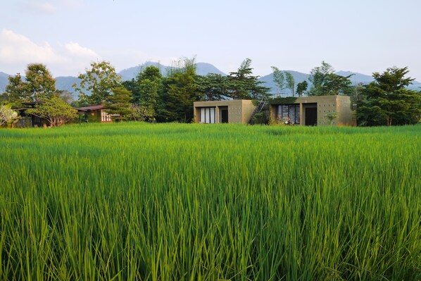 Garden - Love Pai Home (Pai)